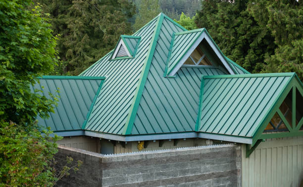 Best Sheet Metal Roofing  in Walden, TN