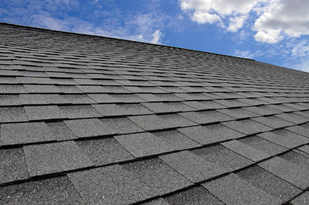 Best Metal Roofing Installation  in Walden, TN