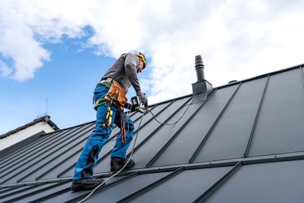 Best Asphalt Shingles Roofing  in Walden, TN