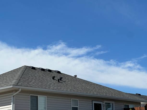 Best Storm Damage Roof Repair  in Walden, TN